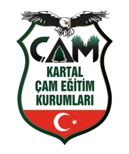 Özel Kartal Atalar Çam Eğitim Kurumları'nın logosu